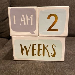 Baby Monthly Milestone Blocks - Grey, White, Baby a blue and Gold Color